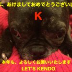 2017年、新年明けましておめでとうございます！！